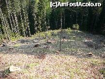 [P06] O parte din zona defrisata » foto by Claudiu U.
 - 
<span class="allrVoted glyphicon glyphicon-heart hidden" id="av329471"></span>
<a class="m-l-10 hidden" id="sv329471" onclick="voting_Foto_DelVot(,329471,6094)" role="button">șterge vot <span class="glyphicon glyphicon-remove"></span></a>
<a id="v9329471" class=" c-red"  onclick="voting_Foto_SetVot(329471)" role="button"><span class="glyphicon glyphicon-heart-empty"></span> <b>LIKE</b> = Votează poza</a> <img class="hidden"  id="f329471W9" src="/imagini/loader.gif" border="0" /><span class="AjErrMes hidden" id="e329471ErM"></span>