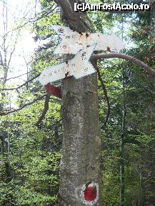 [P08] Bifurcatia aflata inaintea Sirului Stancilor » foto by Claudiu U.
 - 
<span class="allrVoted glyphicon glyphicon-heart hidden" id="av329479"></span>
<a class="m-l-10 hidden" id="sv329479" onclick="voting_Foto_DelVot(,329479,6094)" role="button">șterge vot <span class="glyphicon glyphicon-remove"></span></a>
<a id="v9329479" class=" c-red"  onclick="voting_Foto_SetVot(329479)" role="button"><span class="glyphicon glyphicon-heart-empty"></span> <b>LIKE</b> = Votează poza</a> <img class="hidden"  id="f329479W9" src="/imagini/loader.gif" border="0" /><span class="AjErrMes hidden" id="e329479ErM"></span>