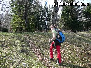 [P10] Locul unde am lăsat în urmă poiana Bunloc şi am intrat în pădure » foto by Claudiu U.
 - 
<span class="allrVoted glyphicon glyphicon-heart hidden" id="av479924"></span>
<a class="m-l-10 hidden" id="sv479924" onclick="voting_Foto_DelVot(,479924,6094)" role="button">șterge vot <span class="glyphicon glyphicon-remove"></span></a>
<a id="v9479924" class=" c-red"  onclick="voting_Foto_SetVot(479924)" role="button"><span class="glyphicon glyphicon-heart-empty"></span> <b>LIKE</b> = Votează poza</a> <img class="hidden"  id="f479924W9" src="/imagini/loader.gif" border="0" /><span class="AjErrMes hidden" id="e479924ErM"></span>