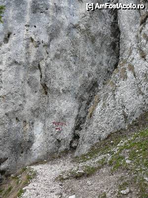 [P12] Intrarea în Peştera de Gheaţă » foto by Claudiu U.
 - 
<span class="allrVoted glyphicon glyphicon-heart hidden" id="av479926"></span>
<a class="m-l-10 hidden" id="sv479926" onclick="voting_Foto_DelVot(,479926,6094)" role="button">șterge vot <span class="glyphicon glyphicon-remove"></span></a>
<a id="v9479926" class=" c-red"  onclick="voting_Foto_SetVot(479926)" role="button"><span class="glyphicon glyphicon-heart-empty"></span> <b>LIKE</b> = Votează poza</a> <img class="hidden"  id="f479926W9" src="/imagini/loader.gif" border="0" /><span class="AjErrMes hidden" id="e479926ErM"></span>