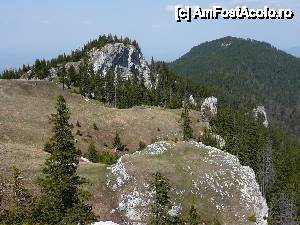 [P15] ... în apropiere de cabana Piatra Mare (în dreapta este culmea împădurită pe care am străbătut-o la urcare)  » foto by Claudiu U.
 - 
<span class="allrVoted glyphicon glyphicon-heart hidden" id="av479929"></span>
<a class="m-l-10 hidden" id="sv479929" onclick="voting_Foto_DelVot(,479929,6094)" role="button">șterge vot <span class="glyphicon glyphicon-remove"></span></a>
<a id="v9479929" class=" c-red"  onclick="voting_Foto_SetVot(479929)" role="button"><span class="glyphicon glyphicon-heart-empty"></span> <b>LIKE</b> = Votează poza</a> <img class="hidden"  id="f479929W9" src="/imagini/loader.gif" border="0" /><span class="AjErrMes hidden" id="e479929ErM"></span>