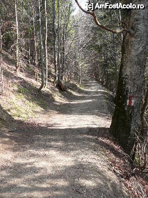 [P19] No coment... !!! (potecă sau 'bulevard'?)  » foto by Claudiu U.
 - 
<span class="allrVoted glyphicon glyphicon-heart hidden" id="av479933"></span>
<a class="m-l-10 hidden" id="sv479933" onclick="voting_Foto_DelVot(,479933,6094)" role="button">șterge vot <span class="glyphicon glyphicon-remove"></span></a>
<a id="v9479933" class=" c-red"  onclick="voting_Foto_SetVot(479933)" role="button"><span class="glyphicon glyphicon-heart-empty"></span> <b>LIKE</b> = Votează poza</a> <img class="hidden"  id="f479933W9" src="/imagini/loader.gif" border="0" /><span class="AjErrMes hidden" id="e479933ErM"></span>