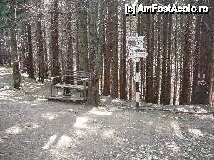 [P20] Intersecţia unde din Drumul Familiar se desprinde poteca spre Prăpastia Urşilor » foto by Claudiu U.
 - 
<span class="allrVoted glyphicon glyphicon-heart hidden" id="av479934"></span>
<a class="m-l-10 hidden" id="sv479934" onclick="voting_Foto_DelVot(,479934,6094)" role="button">șterge vot <span class="glyphicon glyphicon-remove"></span></a>
<a id="v9479934" class=" c-red"  onclick="voting_Foto_SetVot(479934)" role="button"><span class="glyphicon glyphicon-heart-empty"></span> <b>LIKE</b> = Votează poza</a> <img class="hidden"  id="f479934W9" src="/imagini/loader.gif" border="0" /><span class="AjErrMes hidden" id="e479934ErM"></span>