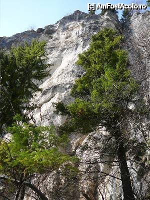 [P21] Primii pereţi de piatra ai prăpastiei Urşilor » foto by Claudiu U.
 - 
<span class="allrVoted glyphicon glyphicon-heart hidden" id="av479935"></span>
<a class="m-l-10 hidden" id="sv479935" onclick="voting_Foto_DelVot(,479935,6094)" role="button">șterge vot <span class="glyphicon glyphicon-remove"></span></a>
<a id="v9479935" class=" c-red"  onclick="voting_Foto_SetVot(479935)" role="button"><span class="glyphicon glyphicon-heart-empty"></span> <b>LIKE</b> = Votează poza</a> <img class="hidden"  id="f479935W9" src="/imagini/loader.gif" border="0" /><span class="AjErrMes hidden" id="e479935ErM"></span>
