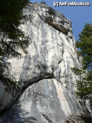 [P23] Înălţimile impresionante ale pereţilor de stâncă » foto by Claudiu U.
 - 
<span class="allrVoted glyphicon glyphicon-heart hidden" id="av479937"></span>
<a class="m-l-10 hidden" id="sv479937" onclick="voting_Foto_DelVot(,479937,6094)" role="button">șterge vot <span class="glyphicon glyphicon-remove"></span></a>
<a id="v9479937" class=" c-red"  onclick="voting_Foto_SetVot(479937)" role="button"><span class="glyphicon glyphicon-heart-empty"></span> <b>LIKE</b> = Votează poza</a> <img class="hidden"  id="f479937W9" src="/imagini/loader.gif" border="0" /><span class="AjErrMes hidden" id="e479937ErM"></span>