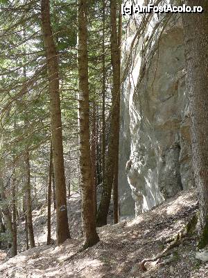 [P24] Continuăm să coborâm pe la baza stâncilor » foto by Claudiu U.
 - 
<span class="allrVoted glyphicon glyphicon-heart hidden" id="av479938"></span>
<a class="m-l-10 hidden" id="sv479938" onclick="voting_Foto_DelVot(,479938,6094)" role="button">șterge vot <span class="glyphicon glyphicon-remove"></span></a>
<a id="v9479938" class=" c-red"  onclick="voting_Foto_SetVot(479938)" role="button"><span class="glyphicon glyphicon-heart-empty"></span> <b>LIKE</b> = Votează poza</a> <img class="hidden"  id="f479938W9" src="/imagini/loader.gif" border="0" /><span class="AjErrMes hidden" id="e479938ErM"></span>