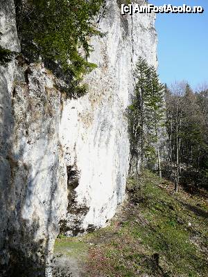 [P25] Traseul marcat, ce se strecoară pe la baza pereţilor de stâncă pe care din acest loc îi părăseşte » foto by Claudiu U.
 - 
<span class="allrVoted glyphicon glyphicon-heart hidden" id="av479939"></span>
<a class="m-l-10 hidden" id="sv479939" onclick="voting_Foto_DelVot(,479939,6094)" role="button">șterge vot <span class="glyphicon glyphicon-remove"></span></a>
<a id="v9479939" class=" c-red"  onclick="voting_Foto_SetVot(479939)" role="button"><span class="glyphicon glyphicon-heart-empty"></span> <b>LIKE</b> = Votează poza</a> <img class="hidden"  id="f479939W9" src="/imagini/loader.gif" border="0" /><span class="AjErrMes hidden" id="e479939ErM"></span>