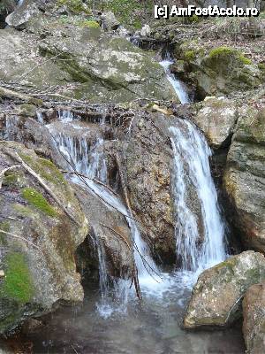 [P26] Frumoase căderi de apă, întâlnite pe traseu » foto by Claudiu U.
 - 
<span class="allrVoted glyphicon glyphicon-heart hidden" id="av479940"></span>
<a class="m-l-10 hidden" id="sv479940" onclick="voting_Foto_DelVot(,479940,6094)" role="button">șterge vot <span class="glyphicon glyphicon-remove"></span></a>
<a id="v9479940" class=" c-red"  onclick="voting_Foto_SetVot(479940)" role="button"><span class="glyphicon glyphicon-heart-empty"></span> <b>LIKE</b> = Votează poza</a> <img class="hidden"  id="f479940W9" src="/imagini/loader.gif" border="0" /><span class="AjErrMes hidden" id="e479940ErM"></span>