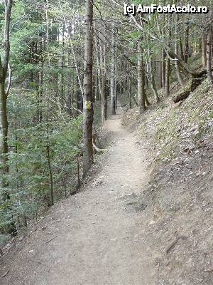 [P28] Dinspre Canionul 7 Scări spre Dâmbul Morii » foto by Claudiu U.
 - 
<span class="allrVoted glyphicon glyphicon-heart hidden" id="av479942"></span>
<a class="m-l-10 hidden" id="sv479942" onclick="voting_Foto_DelVot(,479942,6094)" role="button">șterge vot <span class="glyphicon glyphicon-remove"></span></a>
<a id="v9479942" class=" c-red"  onclick="voting_Foto_SetVot(479942)" role="button"><span class="glyphicon glyphicon-heart-empty"></span> <b>LIKE</b> = Votează poza</a> <img class="hidden"  id="f479942W9" src="/imagini/loader.gif" border="0" /><span class="AjErrMes hidden" id="e479942ErM"></span>