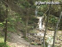 [P11] Cascade in drum spre cascada » foto by Lumis66
 - 
<span class="allrVoted glyphicon glyphicon-heart hidden" id="av202308"></span>
<a class="m-l-10 hidden" id="sv202308" onclick="voting_Foto_DelVot(,202308,6094)" role="button">șterge vot <span class="glyphicon glyphicon-remove"></span></a>
<a id="v9202308" class=" c-red"  onclick="voting_Foto_SetVot(202308)" role="button"><span class="glyphicon glyphicon-heart-empty"></span> <b>LIKE</b> = Votează poza</a> <img class="hidden"  id="f202308W9" src="/imagini/loader.gif" border="0" /><span class="AjErrMes hidden" id="e202308ErM"></span>