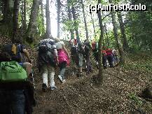 [P12] Se merge in sir indian » foto by Lumis66
 - 
<span class="allrVoted glyphicon glyphicon-heart hidden" id="av202310"></span>
<a class="m-l-10 hidden" id="sv202310" onclick="voting_Foto_DelVot(,202310,6094)" role="button">șterge vot <span class="glyphicon glyphicon-remove"></span></a>
<a id="v9202310" class=" c-red"  onclick="voting_Foto_SetVot(202310)" role="button"><span class="glyphicon glyphicon-heart-empty"></span> <b>LIKE</b> = Votează poza</a> <img class="hidden"  id="f202310W9" src="/imagini/loader.gif" border="0" /><span class="AjErrMes hidden" id="e202310ErM"></span>