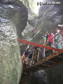 [P16] In fata coada e mare » foto by Lumis66
 - 
<span class="allrVoted glyphicon glyphicon-heart hidden" id="av202316"></span>
<a class="m-l-10 hidden" id="sv202316" onclick="voting_Foto_DelVot(,202316,6094)" role="button">șterge vot <span class="glyphicon glyphicon-remove"></span></a>
<a id="v9202316" class=" c-red"  onclick="voting_Foto_SetVot(202316)" role="button"><span class="glyphicon glyphicon-heart-empty"></span> <b>LIKE</b> = Votează poza</a> <img class="hidden"  id="f202316W9" src="/imagini/loader.gif" border="0" /><span class="AjErrMes hidden" id="e202316ErM"></span>