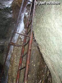 [P19] Cascada in lungul scarii » foto by Lumis66
 - 
<span class="allrVoted glyphicon glyphicon-heart hidden" id="av202319"></span>
<a class="m-l-10 hidden" id="sv202319" onclick="voting_Foto_DelVot(,202319,6094)" role="button">șterge vot <span class="glyphicon glyphicon-remove"></span></a>
<a id="v9202319" class=" c-red"  onclick="voting_Foto_SetVot(202319)" role="button"><span class="glyphicon glyphicon-heart-empty"></span> <b>LIKE</b> = Votează poza</a> <img class="hidden"  id="f202319W9" src="/imagini/loader.gif" border="0" /><span class="AjErrMes hidden" id="e202319ErM"></span>