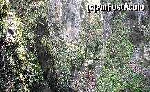 [P20] Urmeaza o alta scara » foto by Lumis66
 - 
<span class="allrVoted glyphicon glyphicon-heart hidden" id="av202321"></span>
<a class="m-l-10 hidden" id="sv202321" onclick="voting_Foto_DelVot(,202321,6094)" role="button">șterge vot <span class="glyphicon glyphicon-remove"></span></a>
<a id="v9202321" class=" c-red"  onclick="voting_Foto_SetVot(202321)" role="button"><span class="glyphicon glyphicon-heart-empty"></span> <b>LIKE</b> = Votează poza</a> <img class="hidden"  id="f202321W9" src="/imagini/loader.gif" border="0" /><span class="AjErrMes hidden" id="e202321ErM"></span>