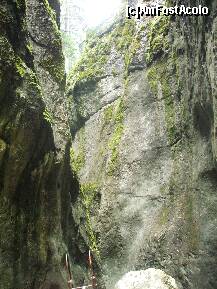 [P25] Am mai urcat o scara » foto by Lumis66
 - 
<span class="allrVoted glyphicon glyphicon-heart hidden" id="av202331"></span>
<a class="m-l-10 hidden" id="sv202331" onclick="voting_Foto_DelVot(,202331,6094)" role="button">șterge vot <span class="glyphicon glyphicon-remove"></span></a>
<a id="v9202331" class=" c-red"  onclick="voting_Foto_SetVot(202331)" role="button"><span class="glyphicon glyphicon-heart-empty"></span> <b>LIKE</b> = Votează poza</a> <img class="hidden"  id="f202331W9" src="/imagini/loader.gif" border="0" /><span class="AjErrMes hidden" id="e202331ErM"></span>