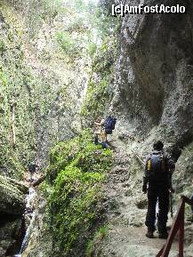 [P26] Tot inainte prin canion » foto by Lumis66
 - 
<span class="allrVoted glyphicon glyphicon-heart hidden" id="av202332"></span>
<a class="m-l-10 hidden" id="sv202332" onclick="voting_Foto_DelVot(,202332,6094)" role="button">șterge vot <span class="glyphicon glyphicon-remove"></span></a>
<a id="v9202332" class=" c-red"  onclick="voting_Foto_SetVot(202332)" role="button"><span class="glyphicon glyphicon-heart-empty"></span> <b>LIKE</b> = Votează poza</a> <img class="hidden"  id="f202332W9" src="/imagini/loader.gif" border="0" /><span class="AjErrMes hidden" id="e202332ErM"></span>