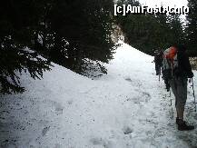 [P33] Pe poteca spre varf in unele locuri mai e zapada » foto by Lumis66
 - 
<span class="allrVoted glyphicon glyphicon-heart hidden" id="av202339"></span>
<a class="m-l-10 hidden" id="sv202339" onclick="voting_Foto_DelVot(,202339,6094)" role="button">șterge vot <span class="glyphicon glyphicon-remove"></span></a>
<a id="v9202339" class=" c-red"  onclick="voting_Foto_SetVot(202339)" role="button"><span class="glyphicon glyphicon-heart-empty"></span> <b>LIKE</b> = Votează poza</a> <img class="hidden"  id="f202339W9" src="/imagini/loader.gif" border="0" /><span class="AjErrMes hidden" id="e202339ErM"></span>