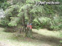 [P47] Acum e acum, incotro? » foto by Lumis66
 - 
<span class="allrVoted glyphicon glyphicon-heart hidden" id="av202353"></span>
<a class="m-l-10 hidden" id="sv202353" onclick="voting_Foto_DelVot(,202353,6094)" role="button">șterge vot <span class="glyphicon glyphicon-remove"></span></a>
<a id="v9202353" class=" c-red"  onclick="voting_Foto_SetVot(202353)" role="button"><span class="glyphicon glyphicon-heart-empty"></span> <b>LIKE</b> = Votează poza</a> <img class="hidden"  id="f202353W9" src="/imagini/loader.gif" border="0" /><span class="AjErrMes hidden" id="e202353ErM"></span>