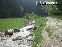 [P05] In stanga drumului paraul Sipoaia  ne insoteste sursurand » foto by Lumis66
 - 
<span class="allrVoted glyphicon glyphicon-heart hidden" id="av202299"></span>
<a class="m-l-10 hidden" id="sv202299" onclick="voting_Foto_DelVot(,202299,6094)" role="button">șterge vot <span class="glyphicon glyphicon-remove"></span></a>
<a id="v9202299" class=" c-red"  onclick="voting_Foto_SetVot(202299)" role="button"><span class="glyphicon glyphicon-heart-empty"></span> <b>LIKE</b> = Votează poza</a> <img class="hidden"  id="f202299W9" src="/imagini/loader.gif" border="0" /><span class="AjErrMes hidden" id="e202299ErM"></span>