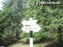 [P50] Ne-am lamurit, spre Predeal » foto by Lumis66
 - 
<span class="allrVoted glyphicon glyphicon-heart hidden" id="av202356"></span>
<a class="m-l-10 hidden" id="sv202356" onclick="voting_Foto_DelVot(,202356,6094)" role="button">șterge vot <span class="glyphicon glyphicon-remove"></span></a>
<a id="v9202356" class=" c-red"  onclick="voting_Foto_SetVot(202356)" role="button"><span class="glyphicon glyphicon-heart-empty"></span> <b>LIKE</b> = Votează poza</a> <img class="hidden"  id="f202356W9" src="/imagini/loader.gif" border="0" /><span class="AjErrMes hidden" id="e202356ErM"></span>