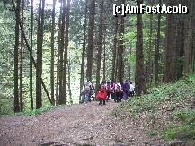 [P08] Mai sunt si altii inaintea noastra, ce coada o sa fie la canion! » foto by Lumis66
 - 
<span class="allrVoted glyphicon glyphicon-heart hidden" id="av202303"></span>
<a class="m-l-10 hidden" id="sv202303" onclick="voting_Foto_DelVot(,202303,6094)" role="button">șterge vot <span class="glyphicon glyphicon-remove"></span></a>
<a id="v9202303" class=" c-red"  onclick="voting_Foto_SetVot(202303)" role="button"><span class="glyphicon glyphicon-heart-empty"></span> <b>LIKE</b> = Votează poza</a> <img class="hidden"  id="f202303W9" src="/imagini/loader.gif" border="0" /><span class="AjErrMes hidden" id="e202303ErM"></span>