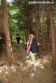 [P16] Patrundem in lumea acelor, lumea coniferelor » foto by private_rayen
 - 
<span class="allrVoted glyphicon glyphicon-heart hidden" id="av306484"></span>
<a class="m-l-10 hidden" id="sv306484" onclick="voting_Foto_DelVot(,306484,6094)" role="button">șterge vot <span class="glyphicon glyphicon-remove"></span></a>
<a id="v9306484" class=" c-red"  onclick="voting_Foto_SetVot(306484)" role="button"><span class="glyphicon glyphicon-heart-empty"></span> <b>LIKE</b> = Votează poza</a> <img class="hidden"  id="f306484W9" src="/imagini/loader.gif" border="0" /><span class="AjErrMes hidden" id="e306484ErM"></span>