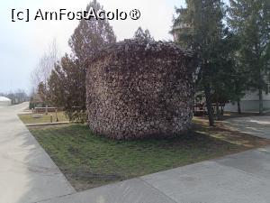[P30] Chițcani, Mănăstirea Noul Neamț, Stivă de lemne... » foto by mprofeanu
 - 
<span class="allrVoted glyphicon glyphicon-heart hidden" id="av1490429"></span>
<a class="m-l-10 hidden" id="sv1490429" onclick="voting_Foto_DelVot(,1490429,6113)" role="button">șterge vot <span class="glyphicon glyphicon-remove"></span></a>
<a id="v91490429" class=" c-red"  onclick="voting_Foto_SetVot(1490429)" role="button"><span class="glyphicon glyphicon-heart-empty"></span> <b>LIKE</b> = Votează poza</a> <img class="hidden"  id="f1490429W9" src="/imagini/loader.gif" border="0" /><span class="AjErrMes hidden" id="e1490429ErM"></span>