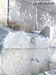 [P23]  -- <small>// FĂRĂ DESCRIERE</small> » foto by mariusica
 - 
<span class="allrVoted glyphicon glyphicon-heart hidden" id="av231023"></span>
<a class="m-l-10 hidden" id="sv231023" onclick="voting_Foto_DelVot(,231023,6124)" role="button">șterge vot <span class="glyphicon glyphicon-remove"></span></a>
<a id="v9231023" class=" c-red"  onclick="voting_Foto_SetVot(231023)" role="button"><span class="glyphicon glyphicon-heart-empty"></span> <b>LIKE</b> = Votează poza</a> <img class="hidden"  id="f231023W9" src="/imagini/loader.gif" border="0" /><span class="AjErrMes hidden" id="e231023ErM"></span>