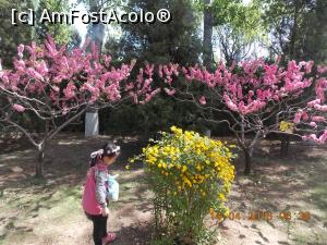 [P50] Beijing, Palatul de Vară, Alei cu piersici înfloriți » foto by mprofeanu
 - 
<span class="allrVoted glyphicon glyphicon-heart hidden" id="av835390"></span>
<a class="m-l-10 hidden" id="sv835390" onclick="voting_Foto_DelVot(,835390,6234)" role="button">șterge vot <span class="glyphicon glyphicon-remove"></span></a>
<a id="v9835390" class=" c-red"  onclick="voting_Foto_SetVot(835390)" role="button"><span class="glyphicon glyphicon-heart-empty"></span> <b>LIKE</b> = Votează poza</a> <img class="hidden"  id="f835390W9" src="/imagini/loader.gif" border="0" /><span class="AjErrMes hidden" id="e835390ErM"></span>