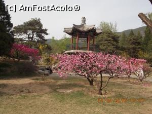 [P86] Beijing, Grădina Botanică are nu numai flori ci și construcții » foto by mprofeanu
 - 
<span class="allrVoted glyphicon glyphicon-heart hidden" id="av835446"></span>
<a class="m-l-10 hidden" id="sv835446" onclick="voting_Foto_DelVot(,835446,6234)" role="button">șterge vot <span class="glyphicon glyphicon-remove"></span></a>
<a id="v9835446" class=" c-red"  onclick="voting_Foto_SetVot(835446)" role="button"><span class="glyphicon glyphicon-heart-empty"></span> <b>LIKE</b> = Votează poza</a> <img class="hidden"  id="f835446W9" src="/imagini/loader.gif" border="0" /><span class="AjErrMes hidden" id="e835446ErM"></span>