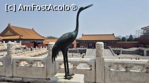 [P12] Pe terasa, care are o balustrada luxoasa, se pot vedea un cocor  si o broasca testoasa din bronz, asezate acolo pentru a prevesti o guvernare vesnica si longevitate. » foto by geani anto
 - 
<span class="allrVoted glyphicon glyphicon-heart hidden" id="av1488059"></span>
<a class="m-l-10 hidden" id="sv1488059" onclick="voting_Foto_DelVot(,1488059,6234)" role="button">șterge vot <span class="glyphicon glyphicon-remove"></span></a>
<a id="v91488059" class=" c-red"  onclick="voting_Foto_SetVot(1488059)" role="button"><span class="glyphicon glyphicon-heart-empty"></span> <b>LIKE</b> = Votează poza</a> <img class="hidden"  id="f1488059W9" src="/imagini/loader.gif" border="0" /><span class="AjErrMes hidden" id="e1488059ErM"></span>