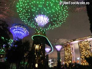 [P23] fascinanta gardens by the bay si copacii magici » foto by andreea72
 - 
<span class="allrVoted glyphicon glyphicon-heart hidden" id="av504888"></span>
<a class="m-l-10 hidden" id="sv504888" onclick="voting_Foto_DelVot(,504888,6314)" role="button">șterge vot <span class="glyphicon glyphicon-remove"></span></a>
<a id="v9504888" class=" c-red"  onclick="voting_Foto_SetVot(504888)" role="button"><span class="glyphicon glyphicon-heart-empty"></span> <b>LIKE</b> = Votează poza</a> <img class="hidden"  id="f504888W9" src="/imagini/loader.gif" border="0" /><span class="AjErrMes hidden" id="e504888ErM"></span>