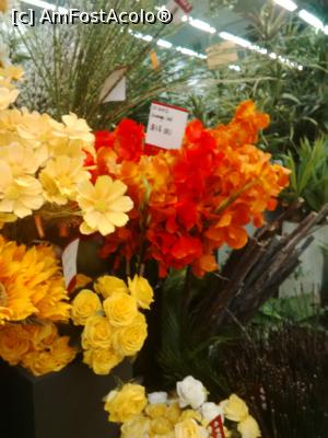 [P19] In aceeasi florarie » foto by monaserban
 - 
<span class="allrVoted glyphicon glyphicon-heart hidden" id="av821620"></span>
<a class="m-l-10 hidden" id="sv821620" onclick="voting_Foto_DelVot(,821620,6314)" role="button">șterge vot <span class="glyphicon glyphicon-remove"></span></a>
<a id="v9821620" class=" c-red"  onclick="voting_Foto_SetVot(821620)" role="button"><span class="glyphicon glyphicon-heart-empty"></span> <b>LIKE</b> = Votează poza</a> <img class="hidden"  id="f821620W9" src="/imagini/loader.gif" border="0" /><span class="AjErrMes hidden" id="e821620ErM"></span>