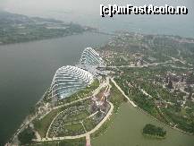 [P24] Gardens by the Bay + vapoarele vin spre portul din Singapore- incredibil cat de multe sunt » foto by thomas_cristi
 - 
<span class="allrVoted glyphicon glyphicon-heart hidden" id="av483102"></span>
<a class="m-l-10 hidden" id="sv483102" onclick="voting_Foto_DelVot(,483102,6314)" role="button">șterge vot <span class="glyphicon glyphicon-remove"></span></a>
<a id="v9483102" class=" c-red"  onclick="voting_Foto_SetVot(483102)" role="button"><span class="glyphicon glyphicon-heart-empty"></span> <b>LIKE</b> = Votează poza</a> <img class="hidden"  id="f483102W9" src="/imagini/loader.gif" border="0" /><span class="AjErrMes hidden" id="e483102ErM"></span>