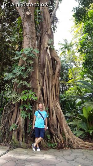 [P10] Rain Forest » foto by mcnegoita
 - 
<span class="allrVoted glyphicon glyphicon-heart hidden" id="av799304"></span>
<a class="m-l-10 hidden" id="sv799304" onclick="voting_Foto_DelVot(,799304,6314)" role="button">șterge vot <span class="glyphicon glyphicon-remove"></span></a>
<a id="v9799304" class=" c-red"  onclick="voting_Foto_SetVot(799304)" role="button"><span class="glyphicon glyphicon-heart-empty"></span> <b>LIKE</b> = Votează poza</a> <img class="hidden"  id="f799304W9" src="/imagini/loader.gif" border="0" /><span class="AjErrMes hidden" id="e799304ErM"></span>
