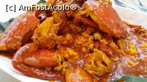 [P14] Chilli Crab - specialitate culinara locala » foto by mcnegoita
 - 
<span class="allrVoted glyphicon glyphicon-heart hidden" id="av799311"></span>
<a class="m-l-10 hidden" id="sv799311" onclick="voting_Foto_DelVot(,799311,6314)" role="button">șterge vot <span class="glyphicon glyphicon-remove"></span></a>
<a id="v9799311" class=" c-red"  onclick="voting_Foto_SetVot(799311)" role="button"><span class="glyphicon glyphicon-heart-empty"></span> <b>LIKE</b> = Votează poza</a> <img class="hidden"  id="f799311W9" src="/imagini/loader.gif" border="0" /><span class="AjErrMes hidden" id="e799311ErM"></span>