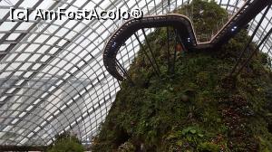 [P19] Cloud Forest - muntele din interior » foto by r-Uca
 - 
<span class="allrVoted glyphicon glyphicon-heart hidden" id="av970669"></span>
<a class="m-l-10 hidden" id="sv970669" onclick="voting_Foto_DelVot(,970669,6314)" role="button">șterge vot <span class="glyphicon glyphicon-remove"></span></a>
<a id="v9970669" class=" c-red"  onclick="voting_Foto_SetVot(970669)" role="button"><span class="glyphicon glyphicon-heart-empty"></span> <b>LIKE</b> = Votează poza</a> <img class="hidden"  id="f970669W9" src="/imagini/loader.gif" border="0" /><span class="AjErrMes hidden" id="e970669ErM"></span>