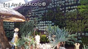 [P21] Flower Dome si Alice » foto by r-Uca
 - 
<span class="allrVoted glyphicon glyphicon-heart hidden" id="av970672"></span>
<a class="m-l-10 hidden" id="sv970672" onclick="voting_Foto_DelVot(,970672,6314)" role="button">șterge vot <span class="glyphicon glyphicon-remove"></span></a>
<a id="v9970672" class=" c-red"  onclick="voting_Foto_SetVot(970672)" role="button"><span class="glyphicon glyphicon-heart-empty"></span> <b>LIKE</b> = Votează poza</a> <img class="hidden"  id="f970672W9" src="/imagini/loader.gif" border="0" /><span class="AjErrMes hidden" id="e970672ErM"></span>