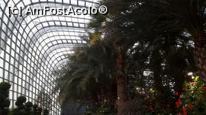 [P25] Flower Dome » foto by r-Uca
 - 
<span class="allrVoted glyphicon glyphicon-heart hidden" id="av970677"></span>
<a class="m-l-10 hidden" id="sv970677" onclick="voting_Foto_DelVot(,970677,6314)" role="button">șterge vot <span class="glyphicon glyphicon-remove"></span></a>
<a id="v9970677" class=" c-red"  onclick="voting_Foto_SetVot(970677)" role="button"><span class="glyphicon glyphicon-heart-empty"></span> <b>LIKE</b> = Votează poza</a> <img class="hidden"  id="f970677W9" src="/imagini/loader.gif" border="0" /><span class="AjErrMes hidden" id="e970677ErM"></span>