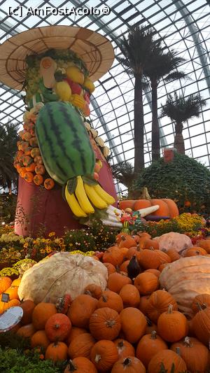 [P27] Flower Dome - se vede ca e octombrie » foto by r-Uca
 - 
<span class="allrVoted glyphicon glyphicon-heart hidden" id="av970679"></span>
<a class="m-l-10 hidden" id="sv970679" onclick="voting_Foto_DelVot(,970679,6314)" role="button">șterge vot <span class="glyphicon glyphicon-remove"></span></a>
<a id="v9970679" class=" c-red"  onclick="voting_Foto_SetVot(970679)" role="button"><span class="glyphicon glyphicon-heart-empty"></span> <b>LIKE</b> = Votează poza</a> <img class="hidden"  id="f970679W9" src="/imagini/loader.gif" border="0" /><span class="AjErrMes hidden" id="e970679ErM"></span>