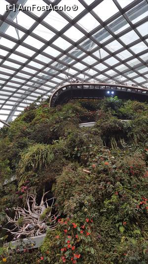 [P07] Cloud Forest » foto by r-Uca
 - 
<span class="allrVoted glyphicon glyphicon-heart hidden" id="av970650"></span>
<a class="m-l-10 hidden" id="sv970650" onclick="voting_Foto_DelVot(,970650,6314)" role="button">șterge vot <span class="glyphicon glyphicon-remove"></span></a>
<a id="v9970650" class=" c-red"  onclick="voting_Foto_SetVot(970650)" role="button"><span class="glyphicon glyphicon-heart-empty"></span> <b>LIKE</b> = Votează poza</a> <img class="hidden"  id="f970650W9" src="/imagini/loader.gif" border="0" /><span class="AjErrMes hidden" id="e970650ErM"></span>