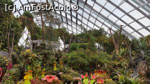 [P09] Cloud Forest » foto by r-Uca
 - 
<span class="allrVoted glyphicon glyphicon-heart hidden" id="av970653"></span>
<a class="m-l-10 hidden" id="sv970653" onclick="voting_Foto_DelVot(,970653,6314)" role="button">șterge vot <span class="glyphicon glyphicon-remove"></span></a>
<a id="v9970653" class=" c-red"  onclick="voting_Foto_SetVot(970653)" role="button"><span class="glyphicon glyphicon-heart-empty"></span> <b>LIKE</b> = Votează poza</a> <img class="hidden"  id="f970653W9" src="/imagini/loader.gif" border="0" /><span class="AjErrMes hidden" id="e970653ErM"></span>