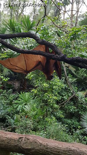 [P14] Prin gradina zoologica - animale ciudate » foto by r-Uca
 - 
<span class="allrVoted glyphicon glyphicon-heart hidden" id="av971103"></span>
<a class="m-l-10 hidden" id="sv971103" onclick="voting_Foto_DelVot(,971103,6314)" role="button">șterge vot <span class="glyphicon glyphicon-remove"></span></a>
<a id="v9971103" class=" c-red"  onclick="voting_Foto_SetVot(971103)" role="button"><span class="glyphicon glyphicon-heart-empty"></span> <b>LIKE</b> = Votează poza</a> <img class="hidden"  id="f971103W9" src="/imagini/loader.gif" border="0" /><span class="AjErrMes hidden" id="e971103ErM"></span>
