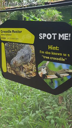 [P20] Prin gradina zoologica- crocodil de copac » foto by r-Uca
 - 
<span class="allrVoted glyphicon glyphicon-heart hidden" id="av971109"></span>
<a class="m-l-10 hidden" id="sv971109" onclick="voting_Foto_DelVot(,971109,6314)" role="button">șterge vot <span class="glyphicon glyphicon-remove"></span></a>
<a id="v9971109" class=" c-red"  onclick="voting_Foto_SetVot(971109)" role="button"><span class="glyphicon glyphicon-heart-empty"></span> <b>LIKE</b> = Votează poza</a> <img class="hidden"  id="f971109W9" src="/imagini/loader.gif" border="0" /><span class="AjErrMes hidden" id="e971109ErM"></span>