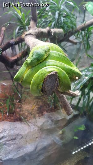 [P21] Prin gradina zoologica - ce verde frumos » foto by r-Uca
 - 
<span class="allrVoted glyphicon glyphicon-heart hidden" id="av971110"></span>
<a class="m-l-10 hidden" id="sv971110" onclick="voting_Foto_DelVot(,971110,6314)" role="button">șterge vot <span class="glyphicon glyphicon-remove"></span></a>
<a id="v9971110" class=" c-red"  onclick="voting_Foto_SetVot(971110)" role="button"><span class="glyphicon glyphicon-heart-empty"></span> <b>LIKE</b> = Votează poza</a> <img class="hidden"  id="f971110W9" src="/imagini/loader.gif" border="0" /><span class="AjErrMes hidden" id="e971110ErM"></span>