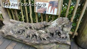 [P03] Prin gradinza zoologica » foto by r-Uca
 - 
<span class="allrVoted glyphicon glyphicon-heart hidden" id="av971092"></span>
<a class="m-l-10 hidden" id="sv971092" onclick="voting_Foto_DelVot(,971092,6314)" role="button">șterge vot <span class="glyphicon glyphicon-remove"></span></a>
<a id="v9971092" class=" c-red"  onclick="voting_Foto_SetVot(971092)" role="button"><span class="glyphicon glyphicon-heart-empty"></span> <b>LIKE</b> = Votează poza</a> <img class="hidden"  id="f971092W9" src="/imagini/loader.gif" border="0" /><span class="AjErrMes hidden" id="e971092ErM"></span>