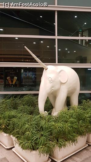 [P36] Un elefant unicorn :D » foto by r-Uca
 - 
<span class="allrVoted glyphicon glyphicon-heart hidden" id="av971125"></span>
<a class="m-l-10 hidden" id="sv971125" onclick="voting_Foto_DelVot(,971125,6314)" role="button">șterge vot <span class="glyphicon glyphicon-remove"></span></a>
<a id="v9971125" class=" c-red"  onclick="voting_Foto_SetVot(971125)" role="button"><span class="glyphicon glyphicon-heart-empty"></span> <b>LIKE</b> = Votează poza</a> <img class="hidden"  id="f971125W9" src="/imagini/loader.gif" border="0" /><span class="AjErrMes hidden" id="e971125ErM"></span>