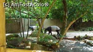[P04] Prin gradinza zoologica - animale interesante » foto by r-Uca
 - 
<span class="allrVoted glyphicon glyphicon-heart hidden" id="av971093"></span>
<a class="m-l-10 hidden" id="sv971093" onclick="voting_Foto_DelVot(,971093,6314)" role="button">șterge vot <span class="glyphicon glyphicon-remove"></span></a>
<a id="v9971093" class=" c-red"  onclick="voting_Foto_SetVot(971093)" role="button"><span class="glyphicon glyphicon-heart-empty"></span> <b>LIKE</b> = Votează poza</a> <img class="hidden"  id="f971093W9" src="/imagini/loader.gif" border="0" /><span class="AjErrMes hidden" id="e971093ErM"></span>