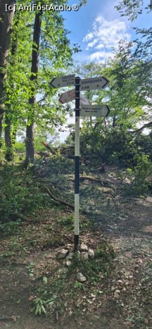 [P05] Intersecţia 5 Hotare » foto by Marius 72
 - 
<span class="allrVoted glyphicon glyphicon-heart hidden" id="av1432877"></span>
<a class="m-l-10 hidden" id="sv1432877" onclick="voting_Foto_DelVot(,1432877,6324)" role="button">șterge vot <span class="glyphicon glyphicon-remove"></span></a>
<a id="v91432877" class=" c-red"  onclick="voting_Foto_SetVot(1432877)" role="button"><span class="glyphicon glyphicon-heart-empty"></span> <b>LIKE</b> = Votează poza</a> <img class="hidden"  id="f1432877W9" src="/imagini/loader.gif" border="0" /><span class="AjErrMes hidden" id="e1432877ErM"></span>