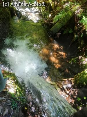 [P10] O cascada pe Valea Iodului » foto by dorgo
 - 
<span class="allrVoted glyphicon glyphicon-heart hidden" id="av1226840"></span>
<a class="m-l-10 hidden" id="sv1226840" onclick="voting_Foto_DelVot(,1226840,6324)" role="button">șterge vot <span class="glyphicon glyphicon-remove"></span></a>
<a id="v91226840" class=" c-red"  onclick="voting_Foto_SetVot(1226840)" role="button"><span class="glyphicon glyphicon-heart-empty"></span> <b>LIKE</b> = Votează poza</a> <img class="hidden"  id="f1226840W9" src="/imagini/loader.gif" border="0" /><span class="AjErrMes hidden" id="e1226840ErM"></span>